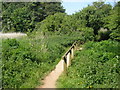 Footbridge, on South West Coast Path in EX9 6ER