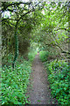 Footpath from North Waltham to the A30 in RG25 2BY
