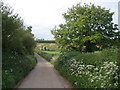 Minor road, to Otterton in EX9 7HZ