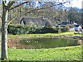 Village pond Tollard Royal Dorset in SP5 5PU
