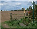 Public footpath near Osbaston in CV13 0DS