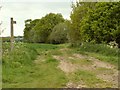 Public footpath to Ingatestone in CM4 9NX
