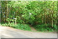 Footpath junction , High Wood in TN3 9AD