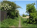 Footpath at the rear of Coalgate Avenue in EH32 9SJ