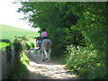 Horse rider on North Downs Way in TN27 0HN