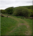 Path in valley off Croes-y-ceiliog in Llannon (Carmarthenshire)