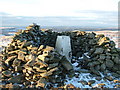 Llan Ddu Fawr summit in SY25 6BT