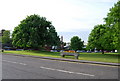 Large Chestnut tree & water trough on Pembury Village Green in TN2 4HL