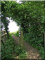 Public footpath by side of Tiddesley Wood in WR10 3BY