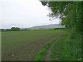 Public footpath along edge of field in WR10 3BY