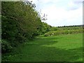 Public footpath adjacent to Tiddesley Wood in WR10 3BY