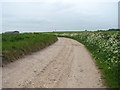 View along farm road in NR11 6RB