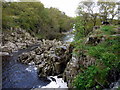 River Tees at the big island in DL12 0XG