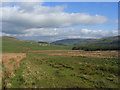 Rough pasture above Gilderdale in CA9 3BD