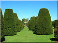 Packwood House Gardens in B94 6AT