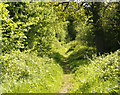 2009 : Witchcombe Lane near Great Cheverell in SN10 5UT