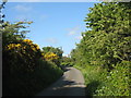 Bend in the road near Llain Delyn Cottage in Amlwch Community