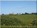 The ruined Betws homestead viewed across the railway cutting in Amlwch Community