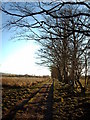 Old Track near Kelly Mains Farm in PA18 6AP