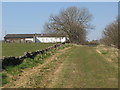 Hadrian's Wall Path west of Milecastle 22 in NE45 5QB