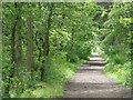 Old railway footpath near Almondhill in EH29 9EQ