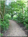 Woodland path, Dyrham Park in SN14 8EU