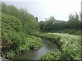 River Tame south of Bentley Road in WS10 8LL