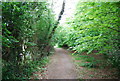 Footpath by Five Oak Green Rd in TN11 0FL
