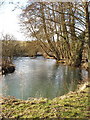 River Windrush at Widford in OX18 4ES