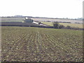 Burford to Stow road, view over crops in OX7 6HN