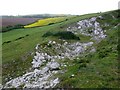 Disused Chalk Pit in DT2 8EA