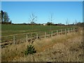 Looking across fields towards Shootersway Farm in HP4 3SX
