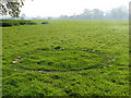 Fairy Ring in Moorat's Park in CO7 6AZ