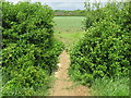 Footbridge through hedge in TN12 0HB