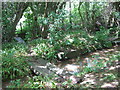 Footbridges over Lovehurst Mill Stream in TN12 0HA