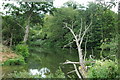 River Avon at Swineford in BA1 9AS