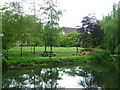 Riverside lawn with ducks, Barton Mills in IP28 6AZ