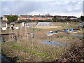 Allotment gardens near Studley in B80 7RQ