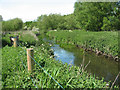 View west along stream in NR20 4BH