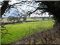 Countryside and fields just off the A448 near Studley in B80 7EY