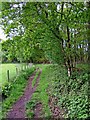 Public footpath from the Wyre Forest to St. John's Lane in DY12 2TZ
