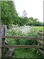 Stile and footpath near Stuckton in SP6 2HJ