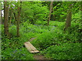 Footbridge in Hillywood in TN17 2PS