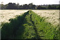 Footpath crosses a barley field, Hawden Farm (2) in TN11 9DR
