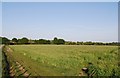 Footpath junction on the edge of a field of Barley in TN11 9DR