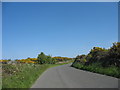 Heathland on either side of the B5111 in Amlwch Community