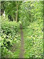 Croft footpath in LE9 3EE