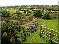 Poldice valley near Unity Wood in TR16 5PX