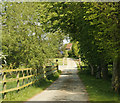 2009 : Entrance and driveway to Greenlands Farm in SN10 5UP