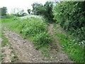 Bridleway near Maplebank Farm in TN15 6BS